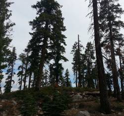 Inside The Sun : Inside the Sun